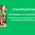 Traumhund-Generator